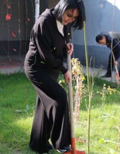 Read more about the article #Yashil_makon umummilliy loyihasi